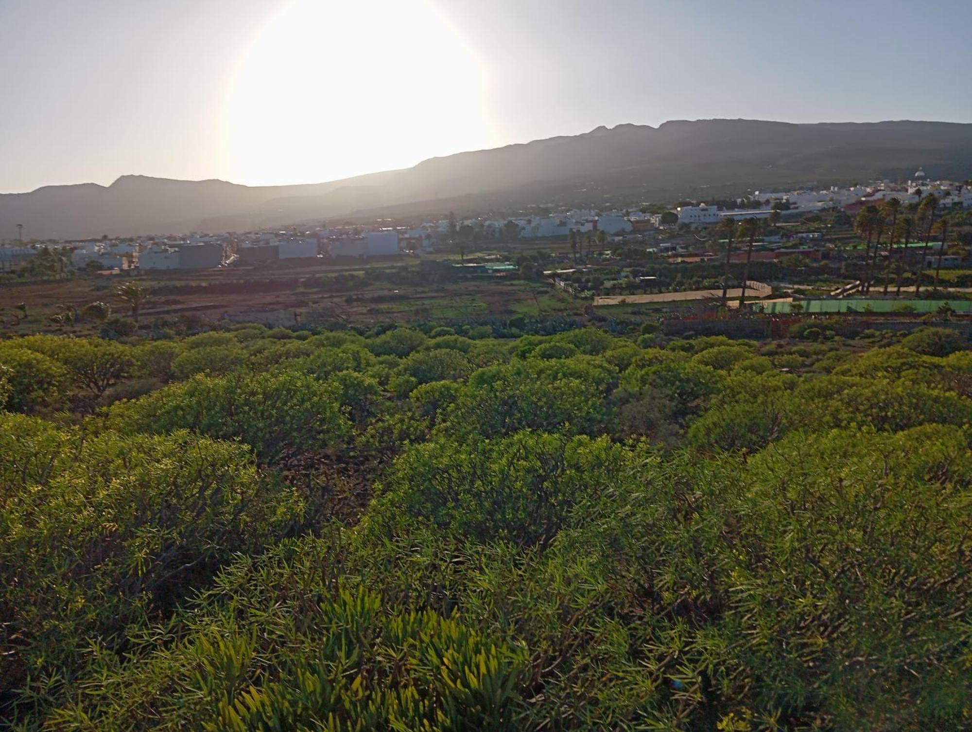 Casa Grande Finca El Calabres Agüimes Екстериор снимка
